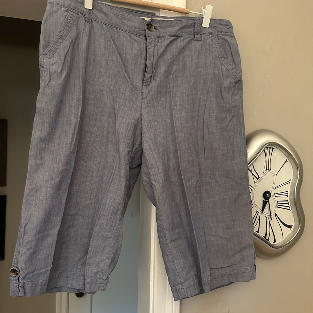 G.H. Bass & Co. Women’s Blue Flat Front Shorts